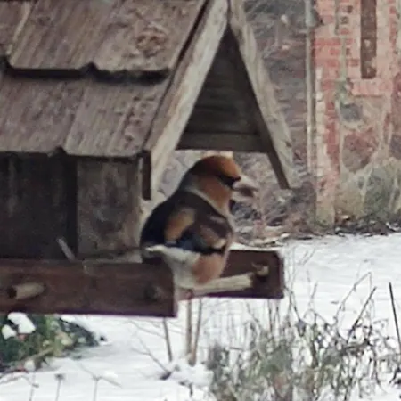 Апартаменты Siedlisko Barnabowka *