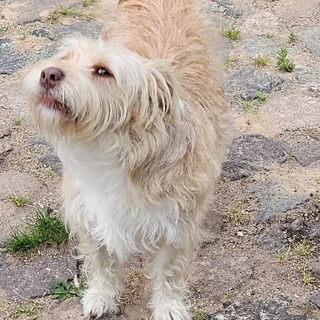 Siedlisko Barnabowka