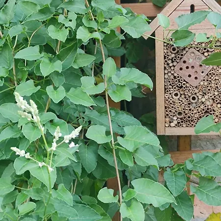 Lägenhet Siedlisko Barnabowka